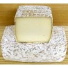 TOMME BREBIS